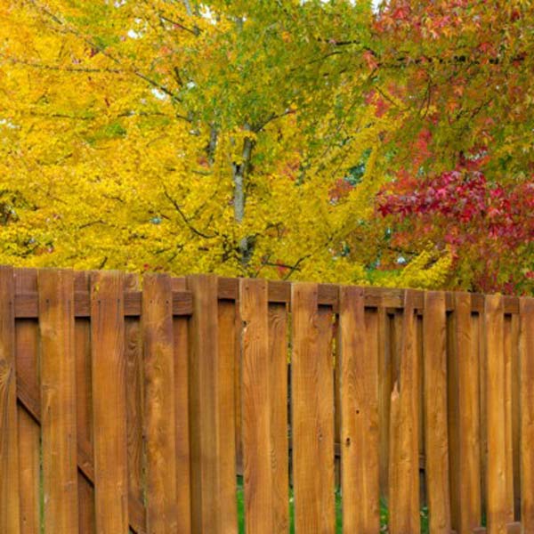 wooden fence