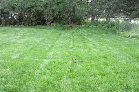 A lawn with a fence and a tree in the background Batavia, IL