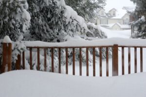 Fence in the snow