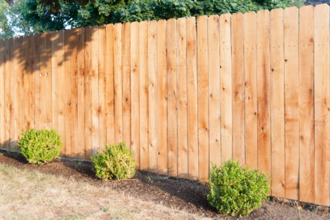 Golden Fence