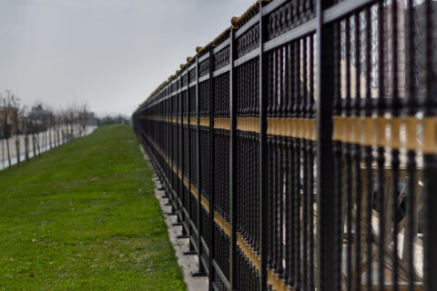 Black iron fence railings and grasses