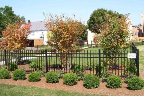 A Residential House Lawn Area Highlighting Low-Maintenance Fencing in Chicago, IL